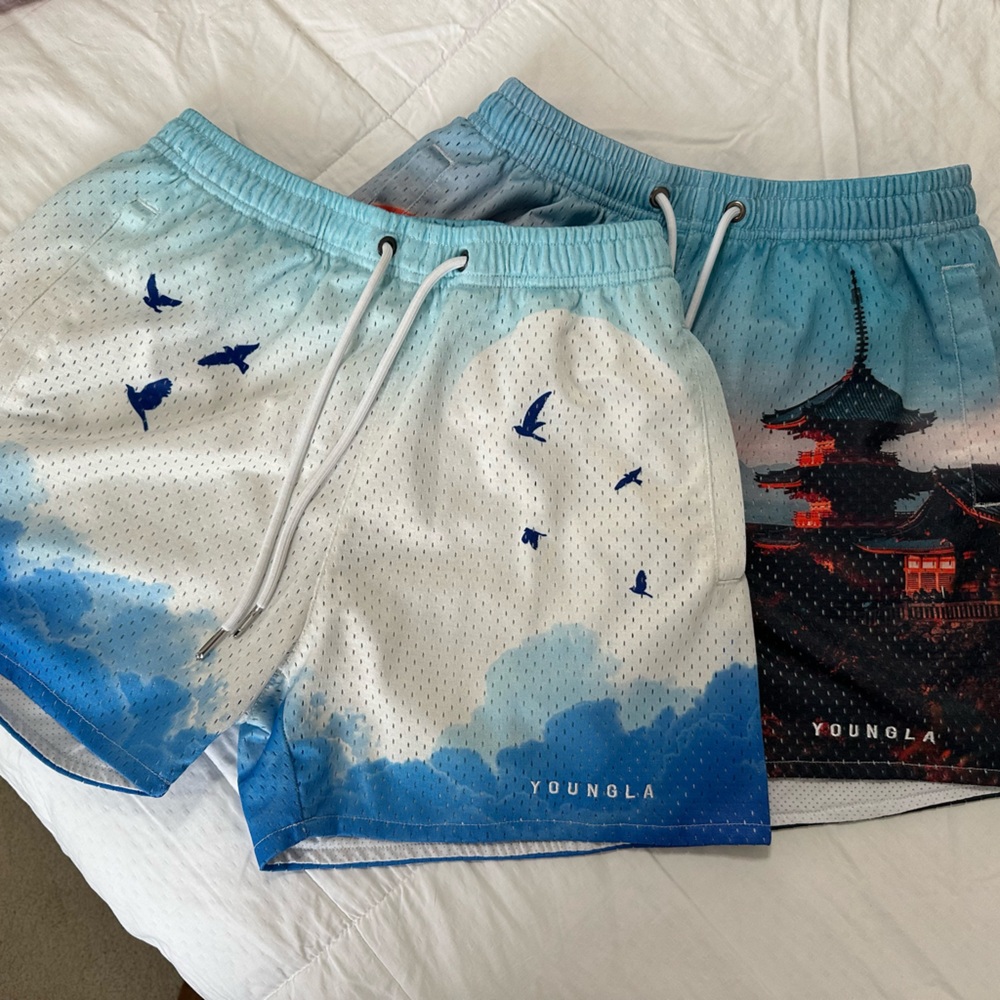 2 pair: YoungLA Athletic Shorts